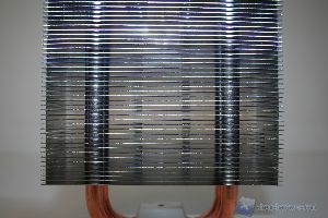 IMG 6949